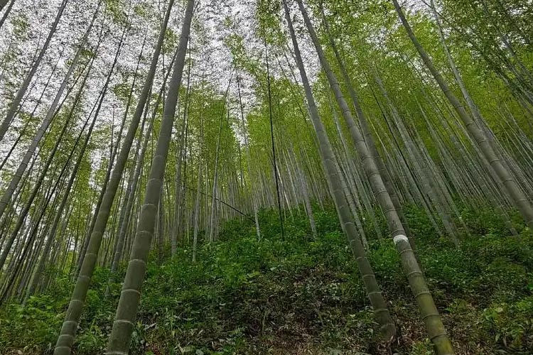 產(chǎn)品優(yōu)勢